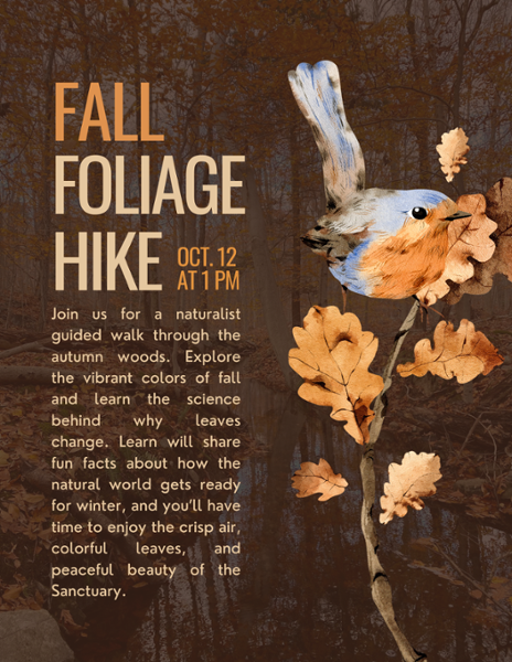Fall Foliage Hike